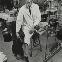 Sasha In Lab by Dennis Galloway