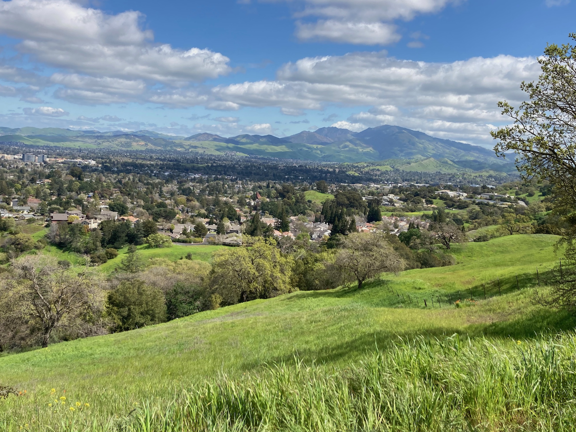 View of Mount Diablo from the Shulgin Farm