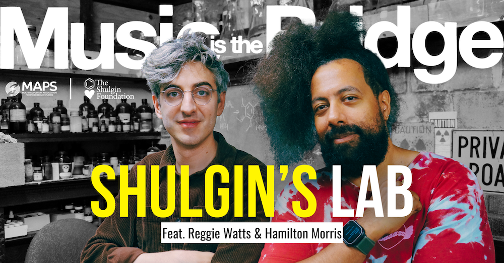 Music Is the Bridge - Tour Video - Reggie Watts and Hamilton Morris