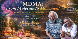 MDMA: From Molecule to Movement